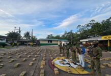 Ministerio de Defensa de Colombia habla de ‘cooperación’ con Ecuador en la incautación de 2,24 toneladas de droga en la frontera | Política | Noticias