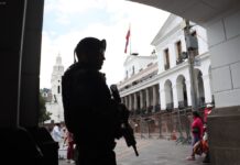 Empleo, seguridad, políticas sociales y otros temas son vistos, por igual, como aciertos y errores de Daniel Noboa, según sondeo | Política | Noticias