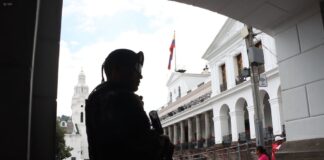 Empleo, seguridad, políticas sociales y otros temas son vistos, por igual, como aciertos y errores de Daniel Noboa, según sondeo | Política | Noticias