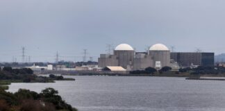 Una delegación de eurodiputados analizará las consecuencias del cierre de Almaraz | Empresas