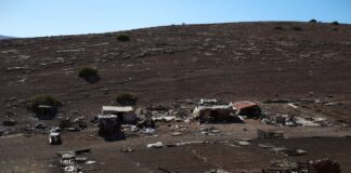 Consumo investiga si hay empresas en Fitur que ofrecen viajes turísticos a territorios palestinos ocupados | Economía