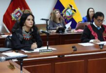 Jueza Enma Tapia descarta nominación para presidir la Corte Nacional de Justicia | Política | Noticias