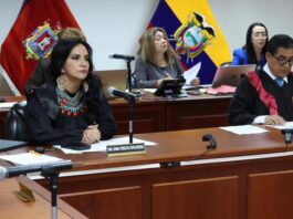 Jueza Enma Tapia descarta nominación para presidir la Corte Nacional de Justicia | Política | Noticias