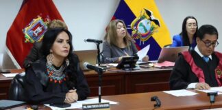 Jueza Enma Tapia descarta nominación para presidir la Corte Nacional de Justicia | Política | Noticias