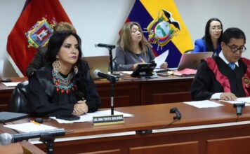 Jueza Enma Tapia descarta nominación para presidir la Corte Nacional de Justicia | Política | Noticias