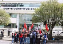 Fundaciones piden celeridad a la Corte Constitucional por demandas a la Ley de Transparencia y mantienen alerta por congelamiento de fondos | Política | Noticias