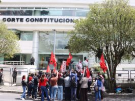 Fundaciones piden celeridad a la Corte Constitucional por demandas a la Ley de Transparencia y mantienen alerta por congelamiento de fondos | Política | Noticias