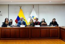 Enma Tapia, presidenta subrogante de la Corte Nacional, afirma que José Suing no tiene apoyo para seguir en la presidencia del organismo | Política | Noticias