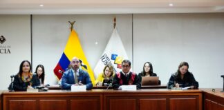 Enma Tapia, presidenta subrogante de la Corte Nacional, afirma que José Suing no tiene apoyo para seguir en la presidencia del organismo | Política | Noticias