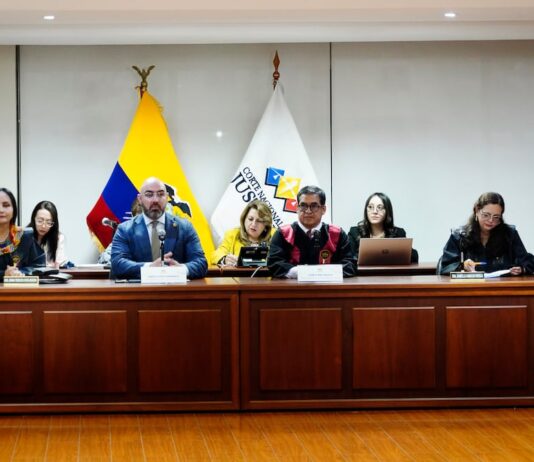 Enma Tapia, presidenta subrogante de la Corte Nacional, afirma que José Suing no tiene apoyo para seguir en la presidencia del organismo | Política | Noticias