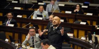 Asambleísta Andrés Castillo será juzgado en la Asamblea por cometer falta grave | Política | Noticias