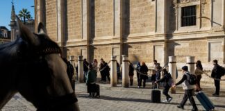 Balance y perspectivas | Negocios