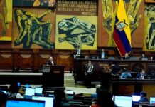 En el 2025, la Contraloría determinó 309 informes con indicios de responsabilidad penal | Política | Noticias