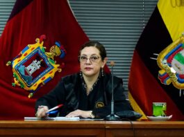 ¿Quién es Daniella Camacho, la jueza que asumiría la presidencia de la Corte Nacional de Justicia? | Política | Noticias