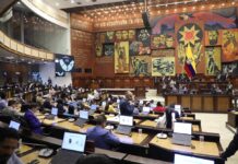 Asamblea Nacional discute un pronunciamiento sobre las ‘consecuencias’ del régimen de Nicolás Maduro en Ecuador | Política | Noticias