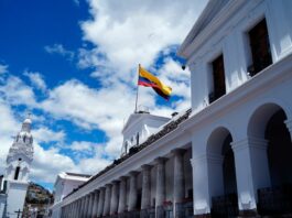 Presidencia pide a la Corte Constitucional que aclare y amplíe sentencia sobre participación privada en el sector eléctrico | Política | Noticias