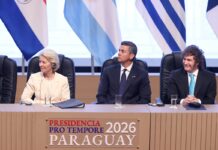 Mercosur apuesta por ratificar el acuerdo con la UE a pesar del frenazo de la Eurocámara | Economía