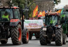 Tratados comerciales: ni con países pobres ni contra el campo español | Economía nacional e internacional