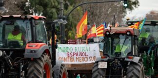 Tratados comerciales: ni con países pobres ni contra el campo español | Economía nacional e internacional