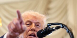 Una crisis autoinducida | Economía