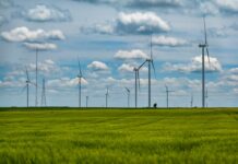 Bélgica embarga otros 482 millones a la empresa estatal Enaire por el impago de las primas renovables | Empresas