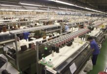 La economía de la zona euro mejoró en 2025 al crecer un 1,5% pese a la guerra comercial | Economía