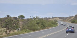 ‘Está fuera de la casa de mi madre construyendo un relato falso’, dice Cynthia Gellibert, tras acusaciones de asambleísta Mónica Palacios por venta de terreno en La Libertad | Ecuador | Noticias