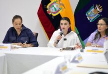 Presidenta ‘reemplazante en ausencia temporal’: así fueron los días de María José Pinto al frente de Carondelet | Política | Noticias