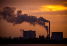 Cuando despertó, el cambio climático todavía estaba allí | Negocios