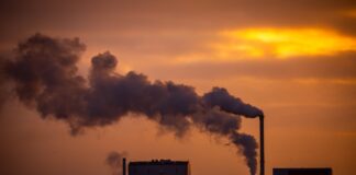 Cuando despertó, el cambio climático todavía estaba allí | Negocios