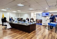 Contraloría audita a siete consejeros de Participación Ciudadana y sus asesores por la elección de Mario Godoy en la Judicatura | Política | Noticias