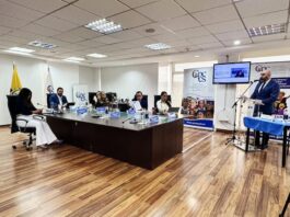 Contraloría audita a siete consejeros de Participación Ciudadana y sus asesores por la elección de Mario Godoy en la Judicatura | Política | Noticias
