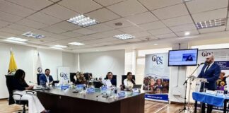 Contraloría audita a siete consejeros de Participación Ciudadana y sus asesores por la elección de Mario Godoy en la Judicatura | Política | Noticias