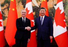 La mejor opción para la UE es contemporizar con un Trump más débil | Opinión