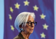 El valor del euro digital público | Economía