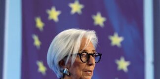 El valor del euro digital público | Economía