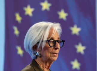 El valor del euro digital público | Economía