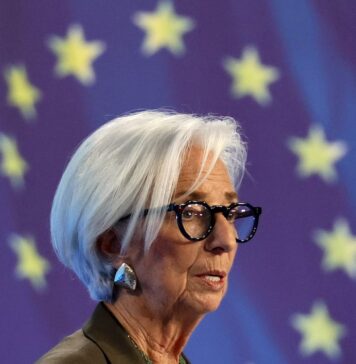 El valor del euro digital público | Economía