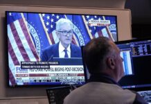 Tu madre, cazadores de cabelleras y cerdos asilvestrados | Economía