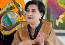 Gabriela Sommerfeld, canciller del Ecuador: Si se ahonda el problema de la producción de coca en Colombia, la violencia en el país será mayor | Política | Noticias