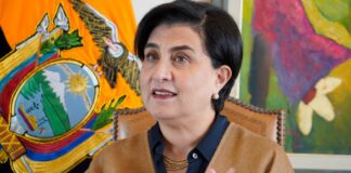 Gabriela Sommerfeld, canciller del Ecuador: Si se ahonda el problema de la producción de coca en Colombia, la violencia en el país será mayor | Política | Noticias