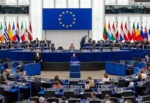 El Parlamento Europeo aprueba las salvaguardas agrícolas para el acuerdo entre la UE y Mercosur | Economía