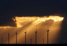 El 40% de los fondos españoles tiene criterios sostenibles pese a la contrarreforma trumpista | Fondos y Planes