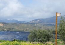 Ignis desafía los vientos en contra para las renovables en Bolsa | Negocios