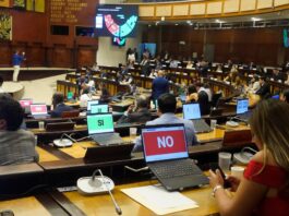 ADN pide celeridad a Fiscalía, UAFE, CNE y TCE en las investigaciones sobre el financiamiento a la campaña de la RC | Política | Noticias