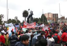 Maestros, padres de familia y grupos barriales marchan en Quito contra la ley sobre la eficiencia en los GAD | Política | Noticias