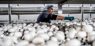 El año arranca con una fuerte destrucción de 270.782 empleos, el peor enero desde 2012 | Economía