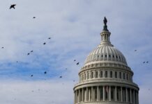 La deuda pública de Estados Unidos alcanzará niveles no vistos desde el fin de la Segunda Guerra Mundial | Economía