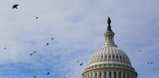 La deuda pública de Estados Unidos alcanzará niveles no vistos desde el fin de la Segunda Guerra Mundial | Economía