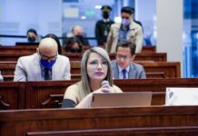 Priscila Schettini pide a Niels Olsen ser habilitada en la Asamblea tras cumplir con su sentencia en el TCE | Política | Noticias